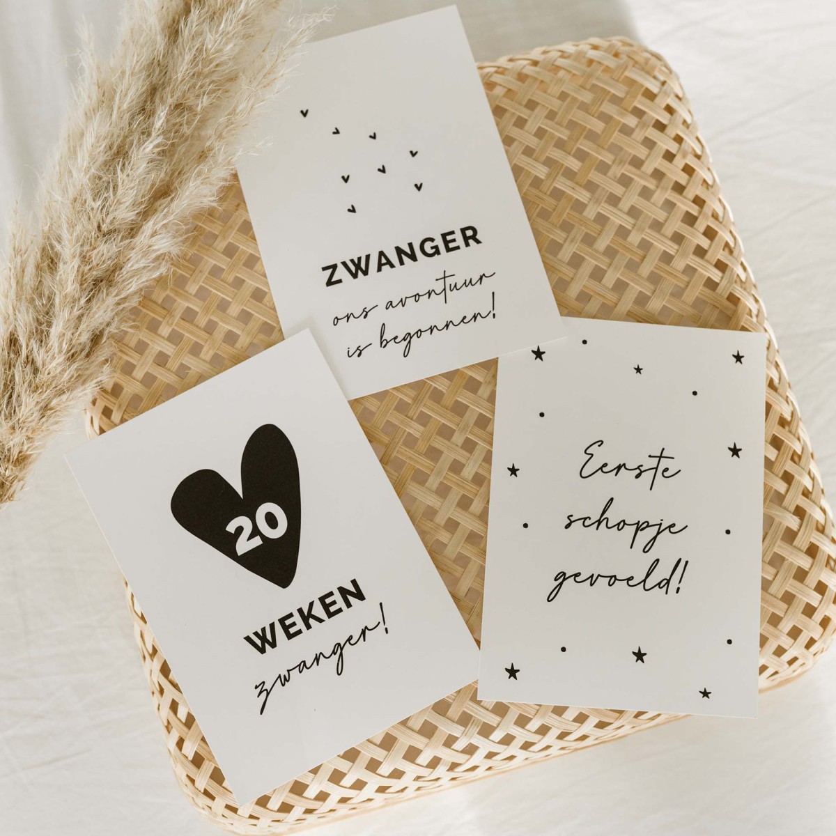 20x hippe zwangerschap mijlpaalkaartjes (A6 formaat)